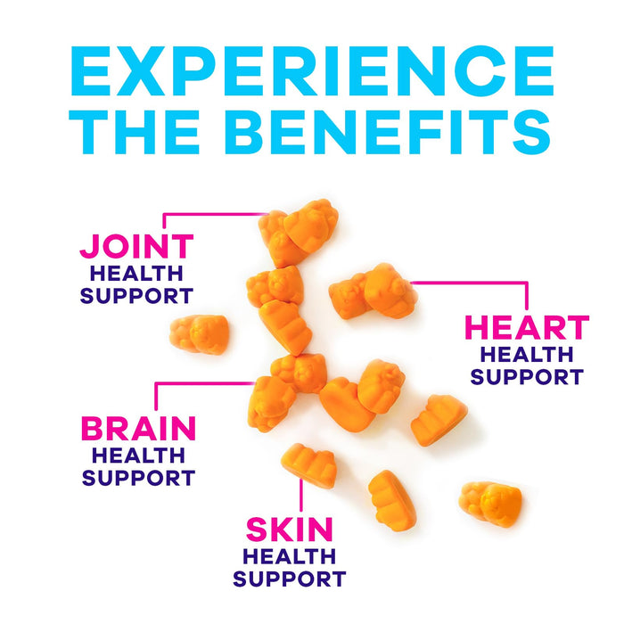 Turmeric Supplement Gummies Sugar Free - Turmeric Curcumin and Ginger Gummies with Black Pepper Extract for High Absorption, Turmeric Curcumin Gummy for Joint Support, Non-GMO, Gluten Free, 60 Count