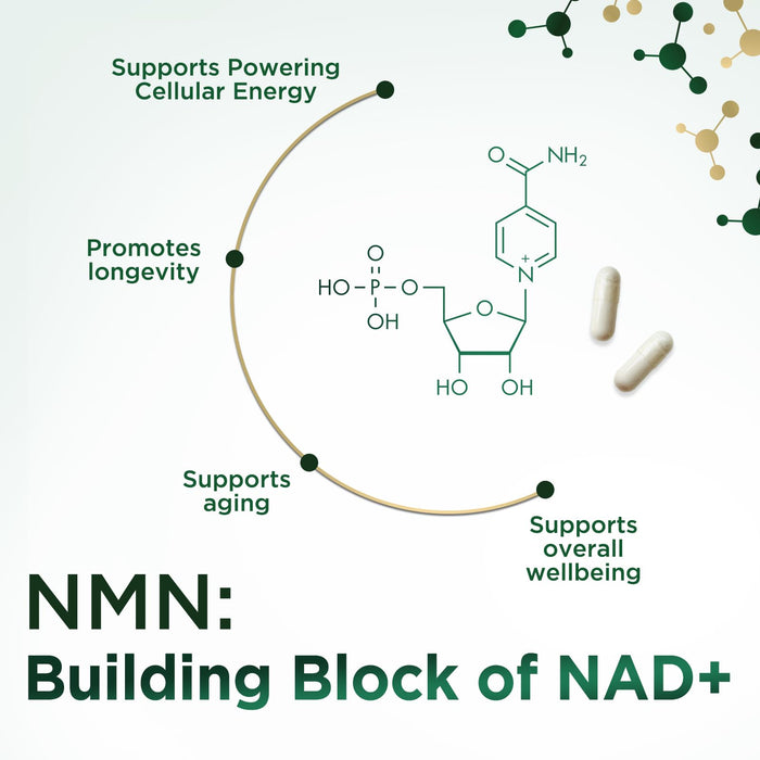 NMN – 500mg – 60 Capsules