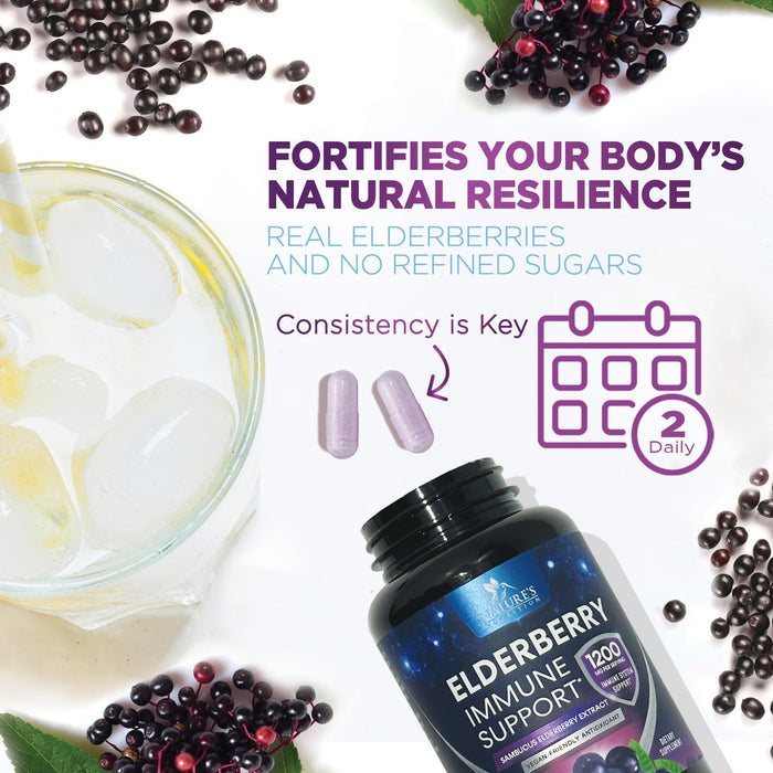 Elderberry Immune Support 1200mg Extract Capsules - Daily Immune Support for Adults with Concentrated Sambucus Black Elderberry Antioxidant - Gluten Free Vitamin, Non-GMO Supplement - 120 Capsules