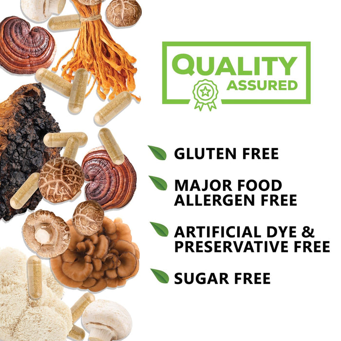 Mushroom Supplement Nootropic 1330mg - 10 in 1 High Strength Brain Supplements Mushroom Complex with Lions Mane, Turkey Tail, Reishi, Cordyceps & Chaga for Memory, Brain & Focus Support - 60 Capsules