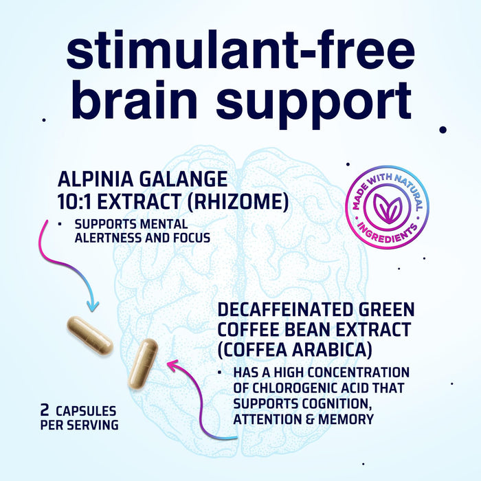 Brain Memory Supplement Pills - Nootropics Support for Concentration, Clarity, Alertness & Focus - Brain Health with Bacopa, Cognitive Vitamins, Phosphatidylserine, DMAE - Brain Booster - 240 Capsules