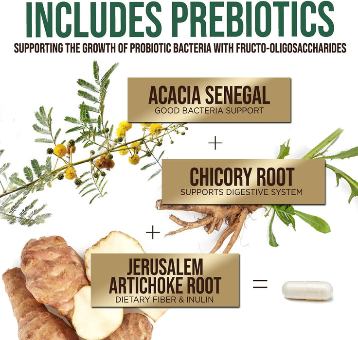 Probiotics 50 Billion CFU + 10 Strains - Daily Probiotic Lactobacillus Blend for Immune, Digestive & Gut Health Support, Prebiotics and Probiotics, Gas & Bloating for Women & Men - 120 Capsules