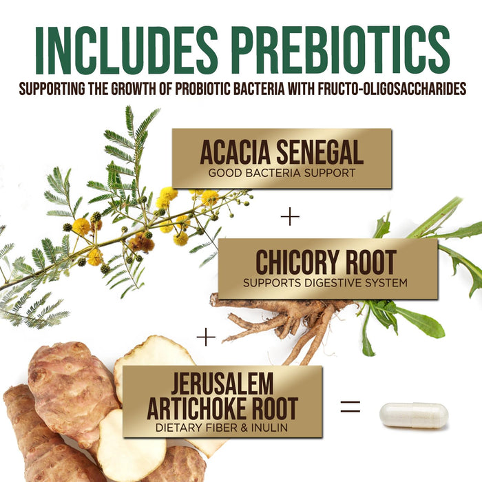 Probiotics 50 Billion CFU + 10 Strains – 120 Capsules