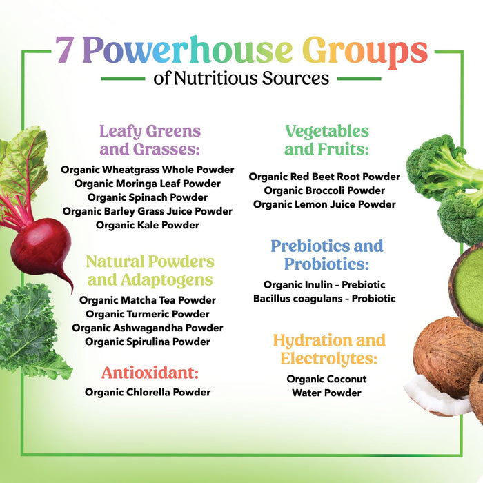 Greens Superfood Powder - Original Organic Super Greens Juice Powder - Packed with Probiotics, Wheat Grass, Enzymes, Spirulina, Chlorella for Digestive & Gut Health, Smoothie Drink Mix - 28 Servings