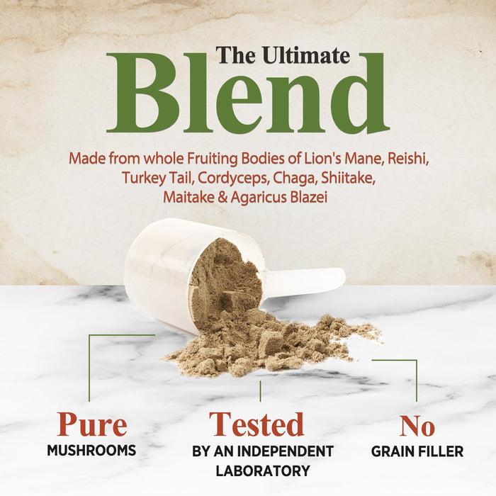 Mushroom Supplement Powder - 11 in 1 Complex Formula Powder with Organic Lions Mane, Reishi, Cordyceps, Chaga, Turkey Tail, Maitake Extract for Memory, Brain, Energy, & Immune Support - 60 Servings