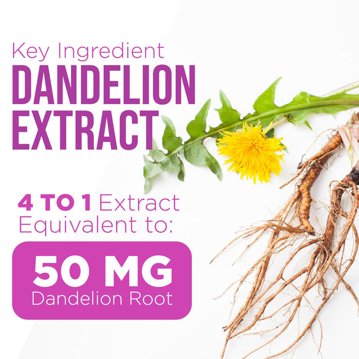 Milk Thistle Supplement - Liver Cleanse Detox & Repair Formula 1000mg with Dandelion - Nature's Herbal Milk Thistle Extract Supplements w/Silymarin Marianum, Supports Liver Health - 60 Capsules