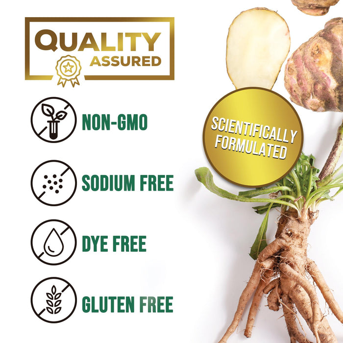 Probiotics for Women's Digestive Health - 100 Billion CFU, 16 Strains with Prebiotics, Supports Immune, Gut Health, PH, Gas & Bloating, Best Probiotic for Women & Men, Shelf Stable - 60 Capsules