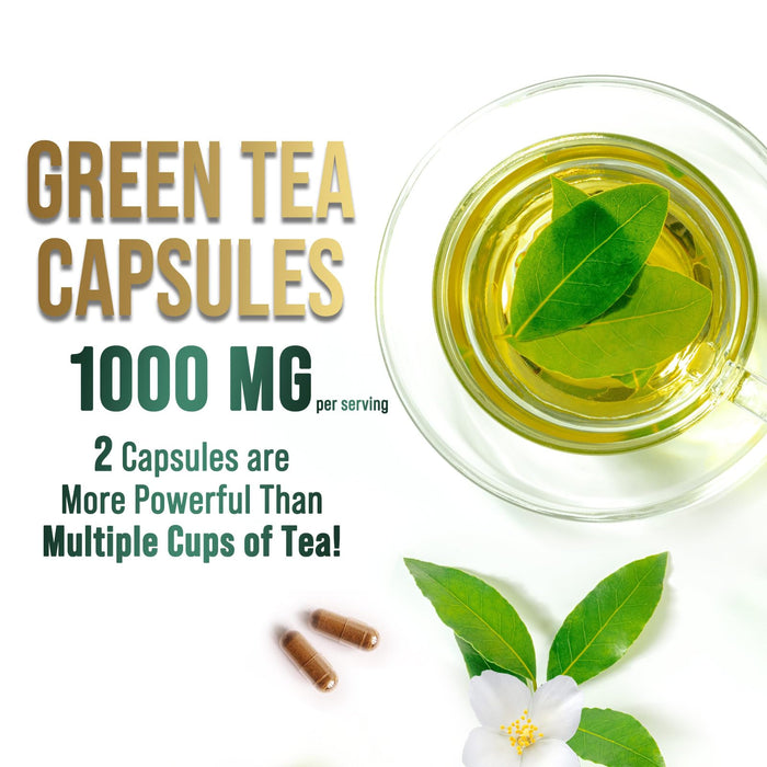 Green Tea Extract Capsules with EGCG – 1000mg – 240 Capsules