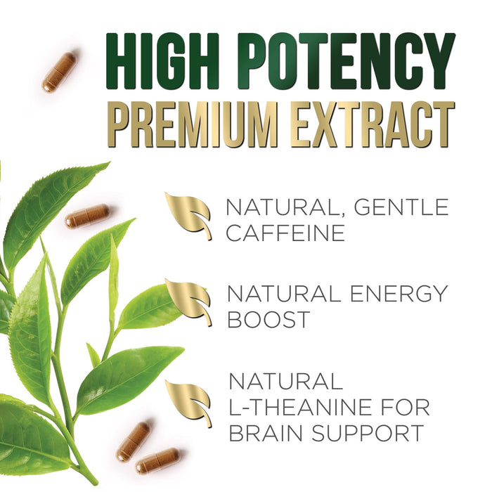 Green Tea Extract Capsules 1000mg 98% Standardized EGCG - 3X Strength for Natural Energy - Heart Support with Polyphenols - Gentle Caffeine - 60 Capsules