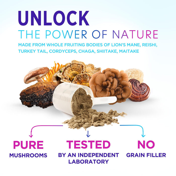 Brain Mushroom Powder – 60 Servings