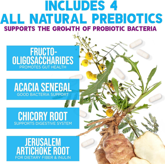 Probiotics for Women & Men 100 Billion CFU - 10 Strains with Lactobacillus, Digestive Gut Health Probiotics & Immune Support Supplement, Supports Occasional Constipation, Gas & Bloating - 120 Capsules