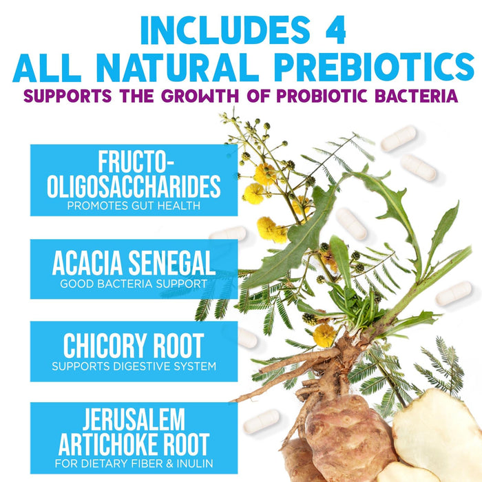 Probiotics 100 Billion CFU – 120 Capsules