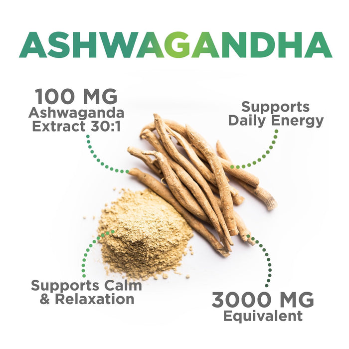 Ashwagandha Gummies for Women & Men, 3000mg Equivalent, Vegan, Plant Based, Non-GMO, Gluten-Free & Gelatin Free, Ashwagandha Supplement for Natural Antioxidant Support, Ashwa Root Extract - 60 Gummies