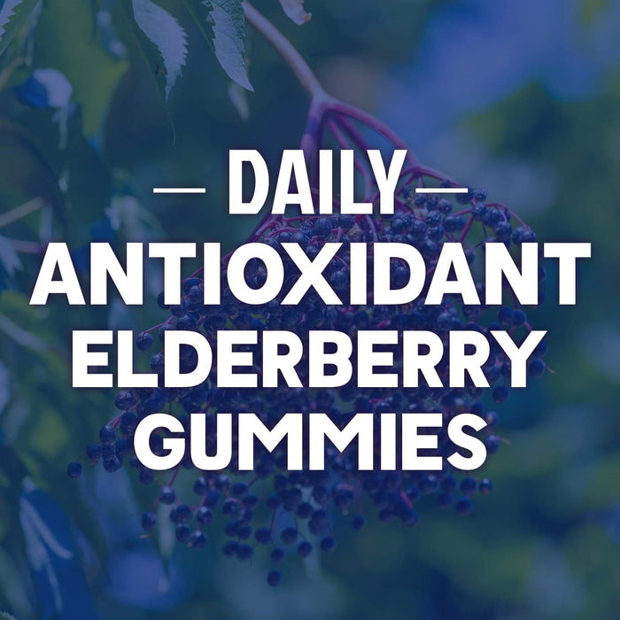 Immune Support Gummies - Sambucus Elderberry Gummy with Elder Berry Extract, Zinc & Vitamin C, Natural Vegan Immune Support Supplement for Adults & Children, Gummy Elderberry Vitamins - 120 Gummies