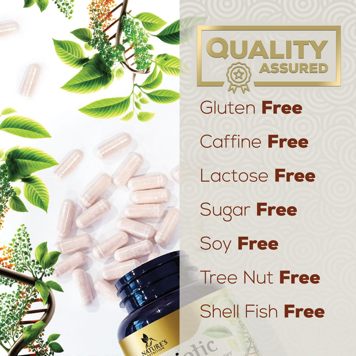 Probiotics for Women & Men - 60 Billion CFU 10 Strains + Prebiotics - Digestive Health, Gut & Immune Support - Support for Occasional Constipation, Gas & Bloating - Non-GMO Shelf Stable - 60 Capsules