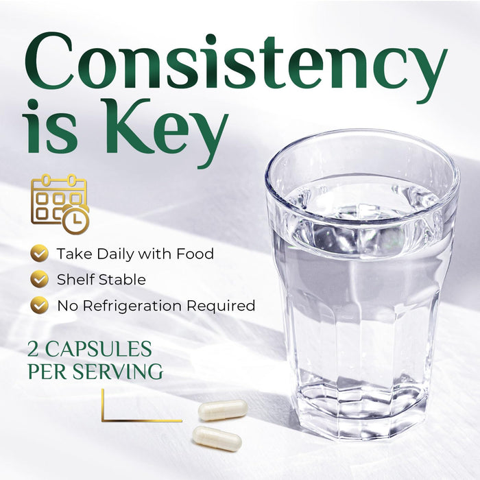 Akkermansia Probiotic Supplement for Women & Men, Akkermansia Muciniphila GLP 1 Probiotics with Prebiotic, 2 Billion AFU, Natural Digestive, Gut Health, & GLP 1 Production Support, 60 Capsules