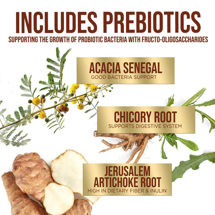 Probiotics for Women & Men - 60 Billion CFU 10 Strains + Prebiotics - Digestive Health, Gut & Immune Support - Support for Occasional Constipation, Gas & Bloating - Non-GMO Shelf Stable - 60 Capsules