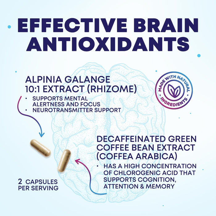 Brain Memory – 240 Capsules