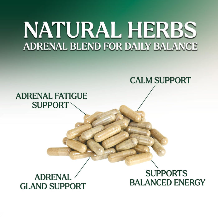 Adrenal Support Supplements Cortex Complex, Best Energy Supplement, Supports Cortisol Health & Energy Levels, Daily Ashwagandha for Women & Men, Supports Adrenal Fatigue & Immune System, 60 Capsules