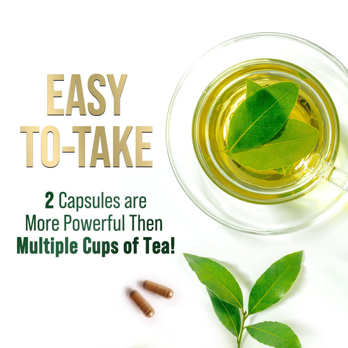 Green Tea Extract Capsules with EGCG – 1000mg – 60 Capsules