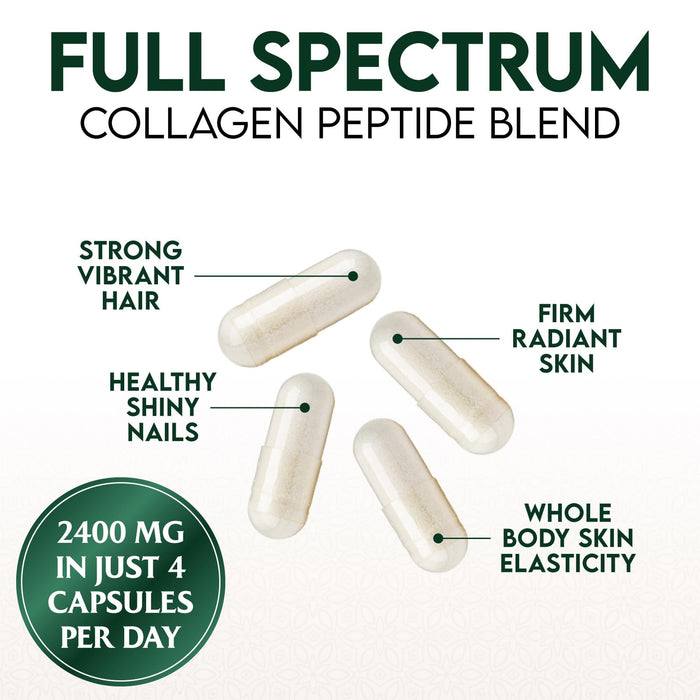 Multi Collagen Peptides Supplement 2400 mg, Types I, II, III, V & X Multi Collagen Pills Complex, Hydrolyzed Collagen Peptides Supplements, Hair, Skin, Nail, and Joint Support Supplement, 60 Capsules