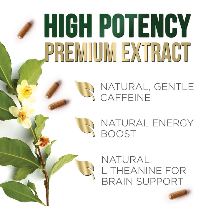 Green Tea Extract Capsules with EGCG – 1000mg – 60 Capsules