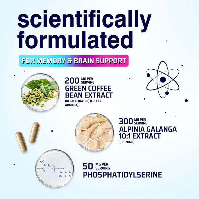 Brain Memory – 240 Capsules