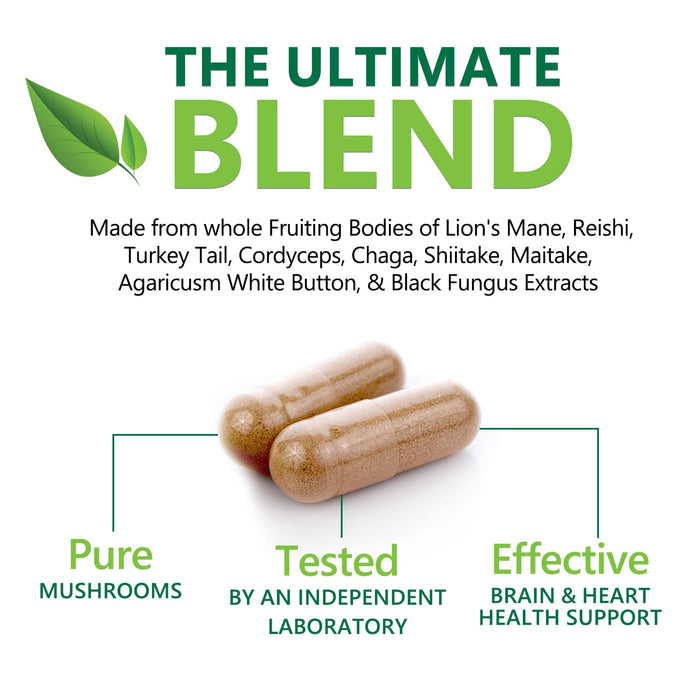 Mushroom Supplement Nootropic 1330mg - 10 in 1 High Strength Brain Supplements Mushroom Complex with Lions Mane, Turkey Tail, Reishi, Cordyceps & Chaga for Memory, Brain & Focus Support - 60 Capsules