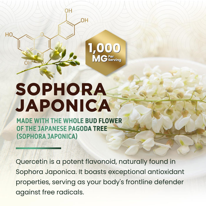 Quercetin 1000mg Per Serving – Extra Strength Quercetin Dihydrate Capsules from Sophora Japonica – Plant-Based Bioflavonoids for Cellular & Immune Support – Non-GMO, Vegan - 60 Veggie Capsules
