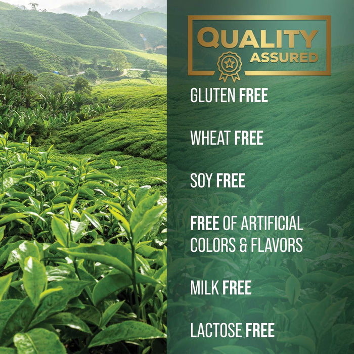 Green Tea Extract Capsules 1000mg with 98% Standardized Polyphenols & 45% EGCG for Heart Support with Antioxidants - 3X Absorption Green Tea Pills for Natural Energy, Gentle Caffeine - 60 Capsules