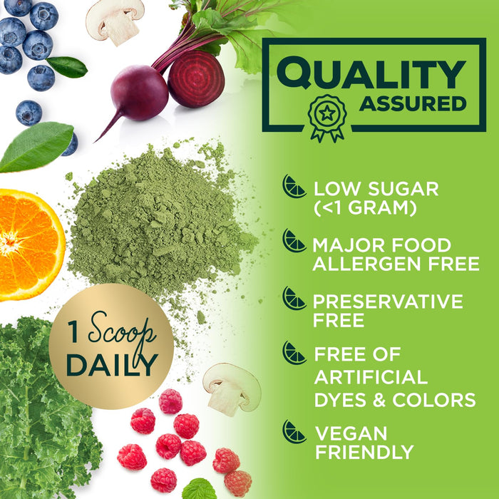 Greens Powder Superfood Drink Mix - Green Whole Food Blend for Energy & Gut Health with Organic Wheat Grass, Spirulina, Chlorella, Digestive Enzymes Antioxidant & Fiber, Berry Flavor, 30 Servings