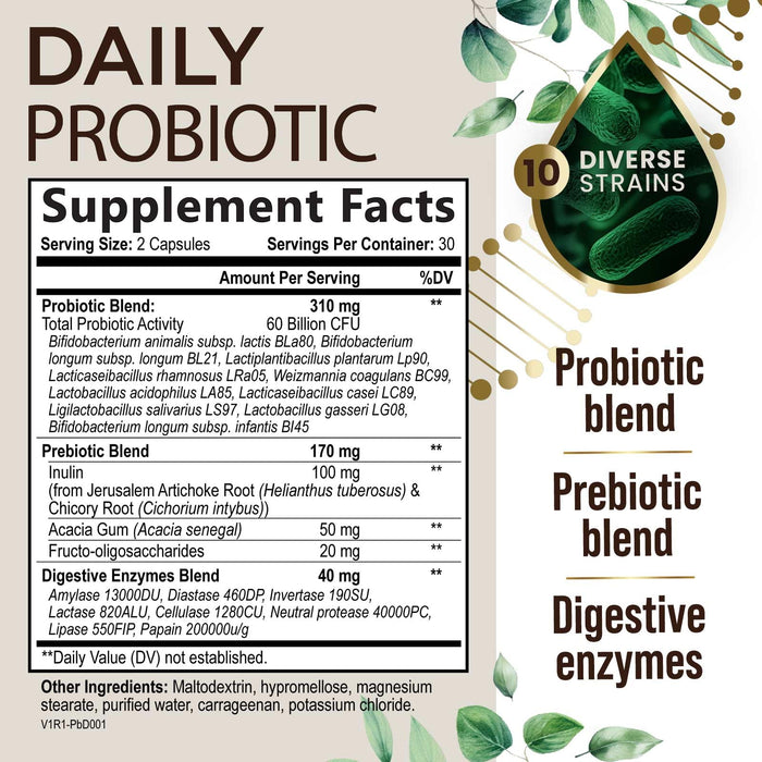 Probiotics 60 Billion CFU + 10 Strains - Daily Probiotic Lactobacillus Blend for Immune, Digestive & Gut Health Support, Prebiotics and Probiotics, Gas & Bloating for Women & Men - 60 Capsules