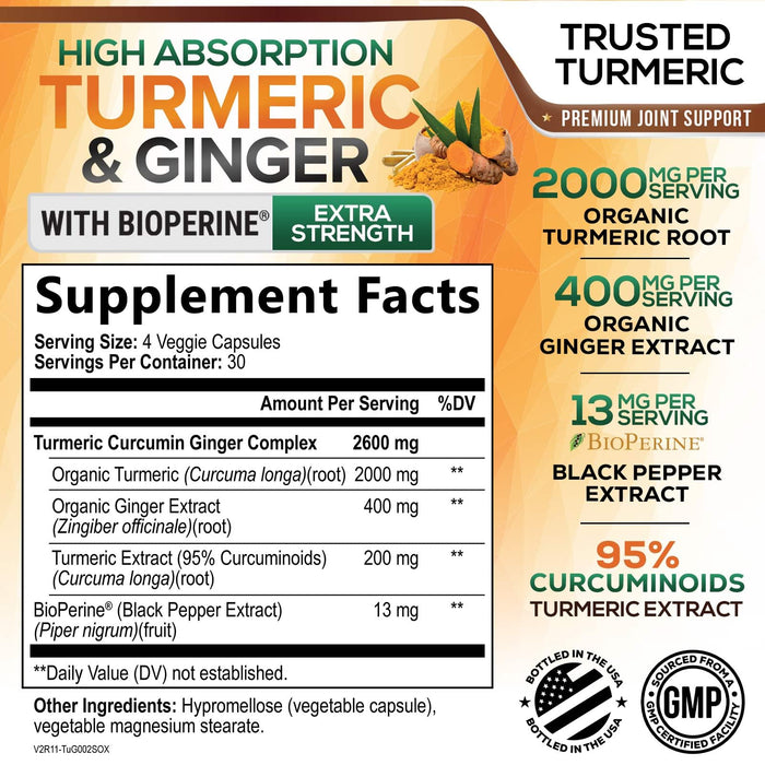 Turmeric Curcumin 2600mg with Organic Ginger & Turmeric – 120 Capsules
