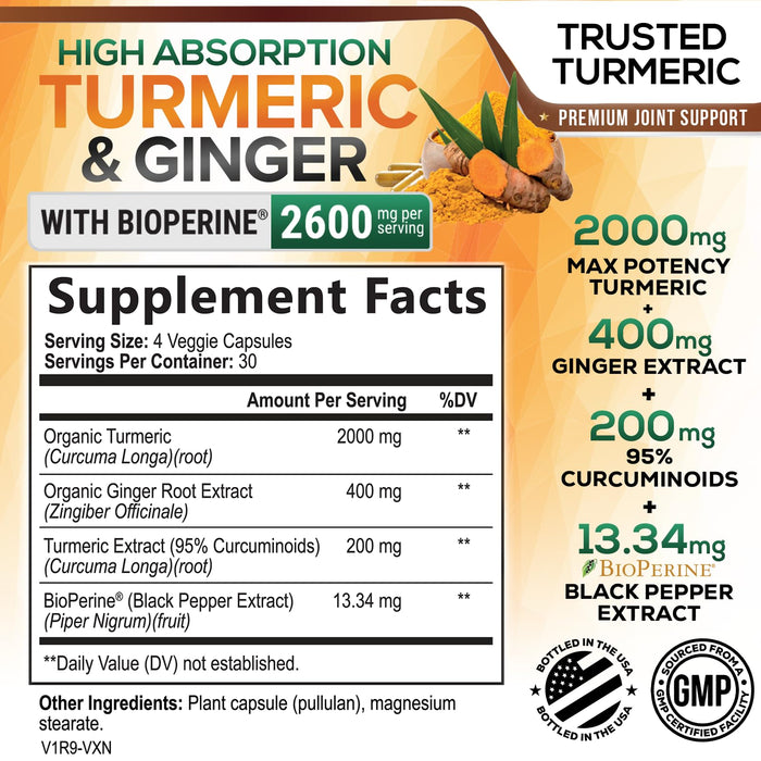 Turmeric Curcumin Supplement 2600mg with Organic Ginger & Turmeric, BioPerine Black Pepper Extract 95% Curcuminoids - Advanced Absorption Joint & Antioxidant Extra Strength Support - 120 Capsules