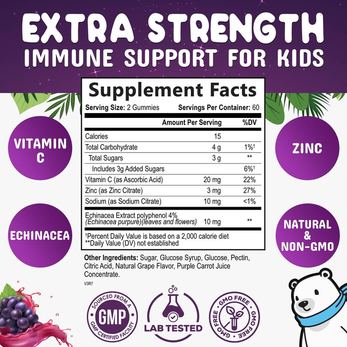 Kids Immune Support Gummies - Vitamin C, Zinc & Echinacea, Children's Daily Immune Health Support Gummy for Ages 4 and Up, Nature's Vitamins for Kids, Vegan & Non-GMO, Berry Flavor - 120 Gummies