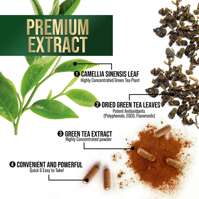 Green Tea Extract Capsules 1000mg 98% Standardized EGCG - 3X Strength for Natural Energy - Heart Support with Polyphenols - Gentle Caffeine - 120 Capsules