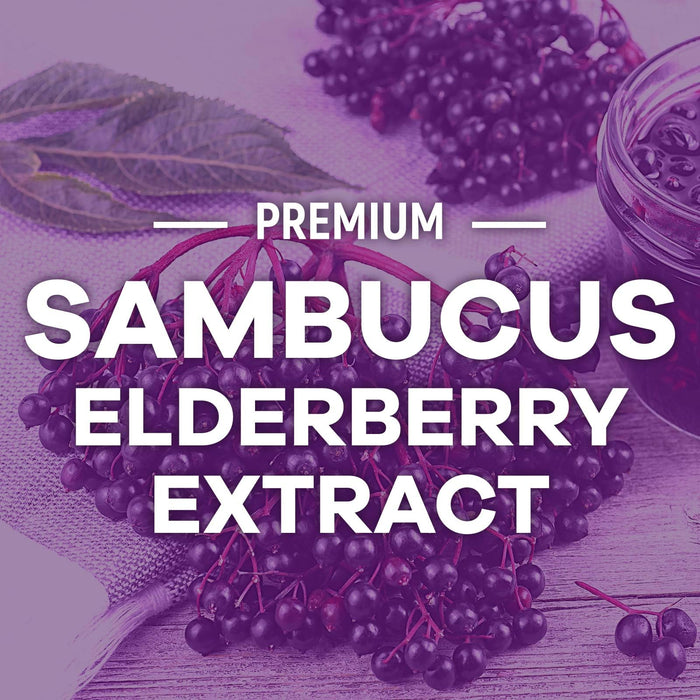 Sambucus Elderberry Immune Support Gummies for Kids & Adults, Elderberry Extract Gummy with Vitamins with Vitamin C, D3, Zinc, Immune Health Support Gummy Supplement, Black Elder Berry - 120 Gummies