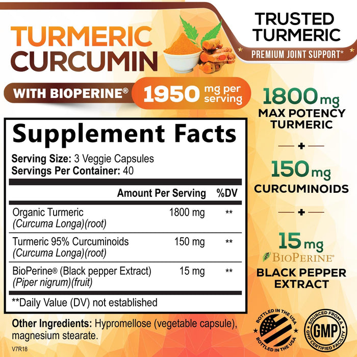 Turmeric Curcumin Supplement 1950mg - 95% Curcuminoids with Organic Turmeric & BioPerine Black Pepper Extract for Best Absorption, Nature's Vegan Joint Support, Non-GMO, Bottled in USA - 120 Capsules
